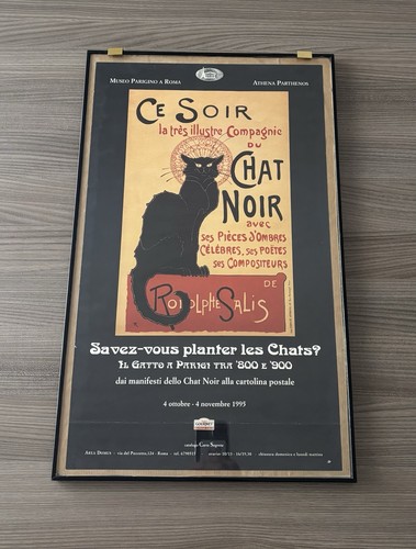 Poster mostra gatto - poster, a