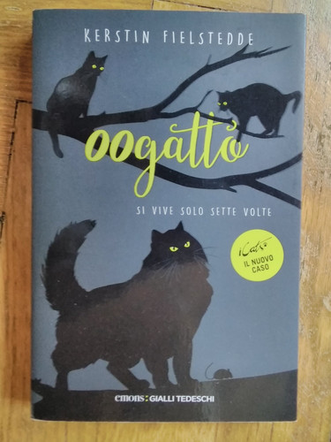 Kerstin fielstedde 00gatto si - fielstedde,