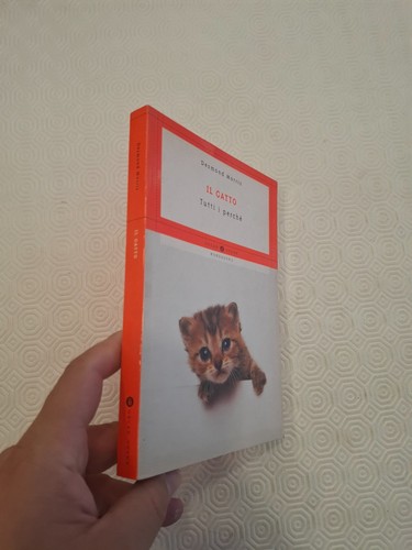 Gatto tutti perche - gatto, perche'