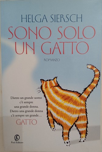 Sono solo gatto - 'sono,