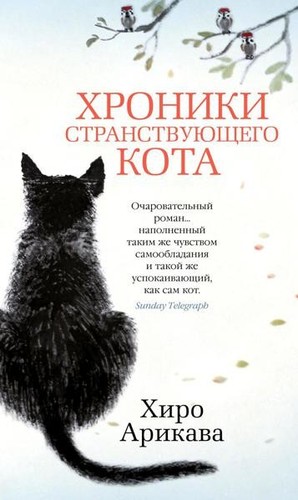 Cronache gatto etero - gatto,